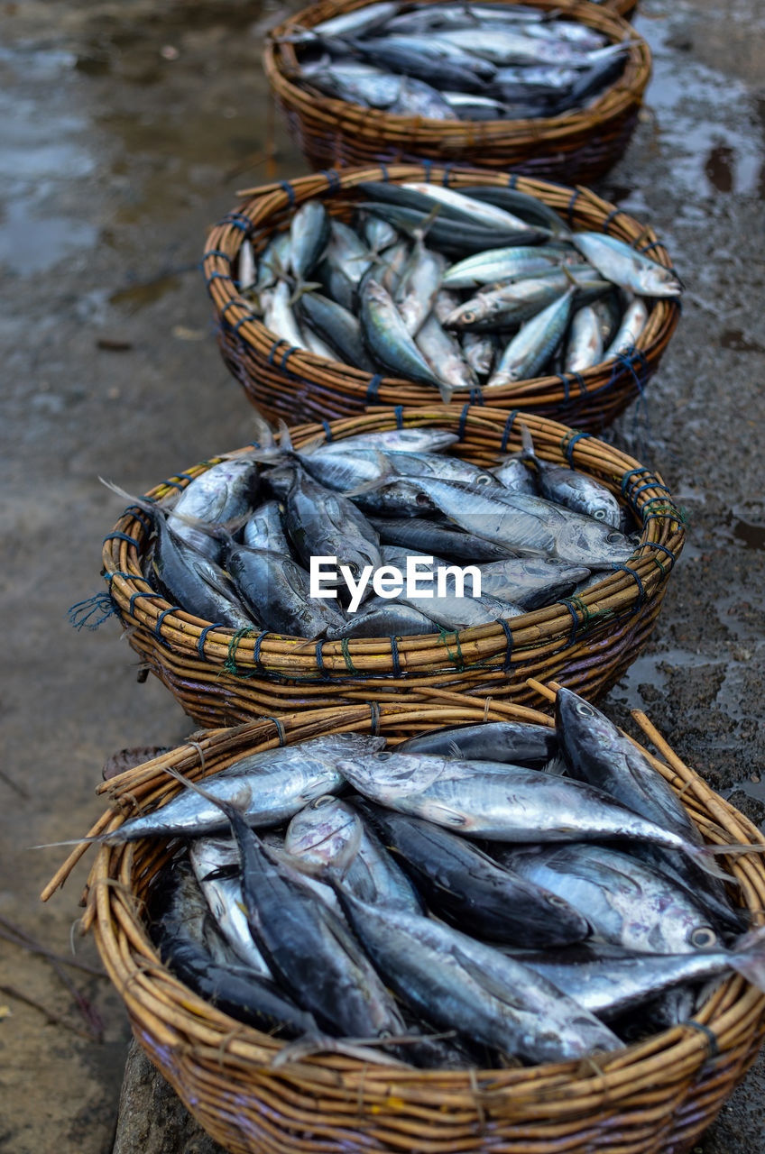 High angle view of fish in baskets for sale at market