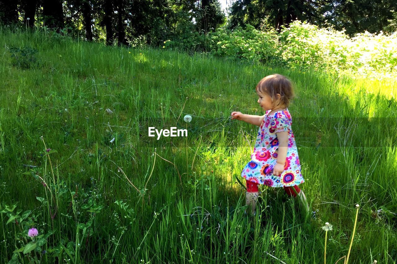 Little girl walking in green grass.