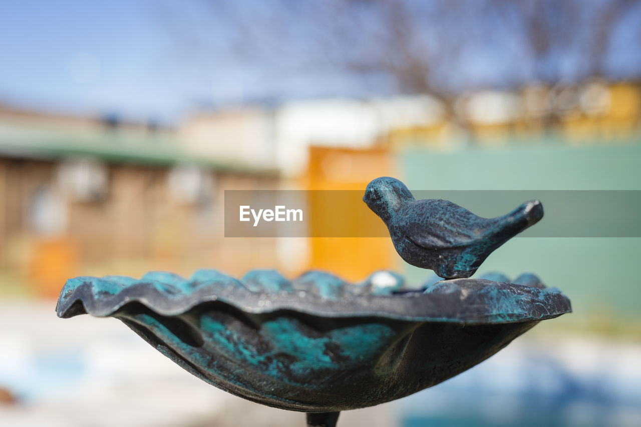 CLOSE-UP OF A BIRD AGAINST METAL