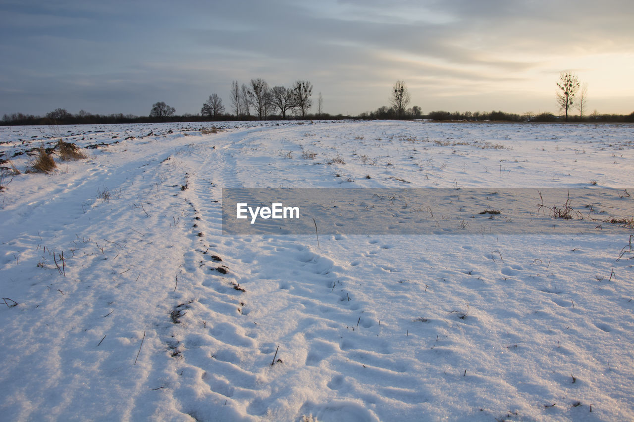 Snow covered field against sky