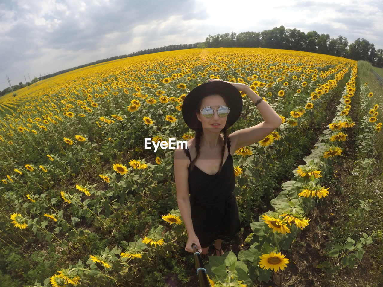 Young woman in a black dress and hat stands on the field with sunflowers in  summer and takes selfie