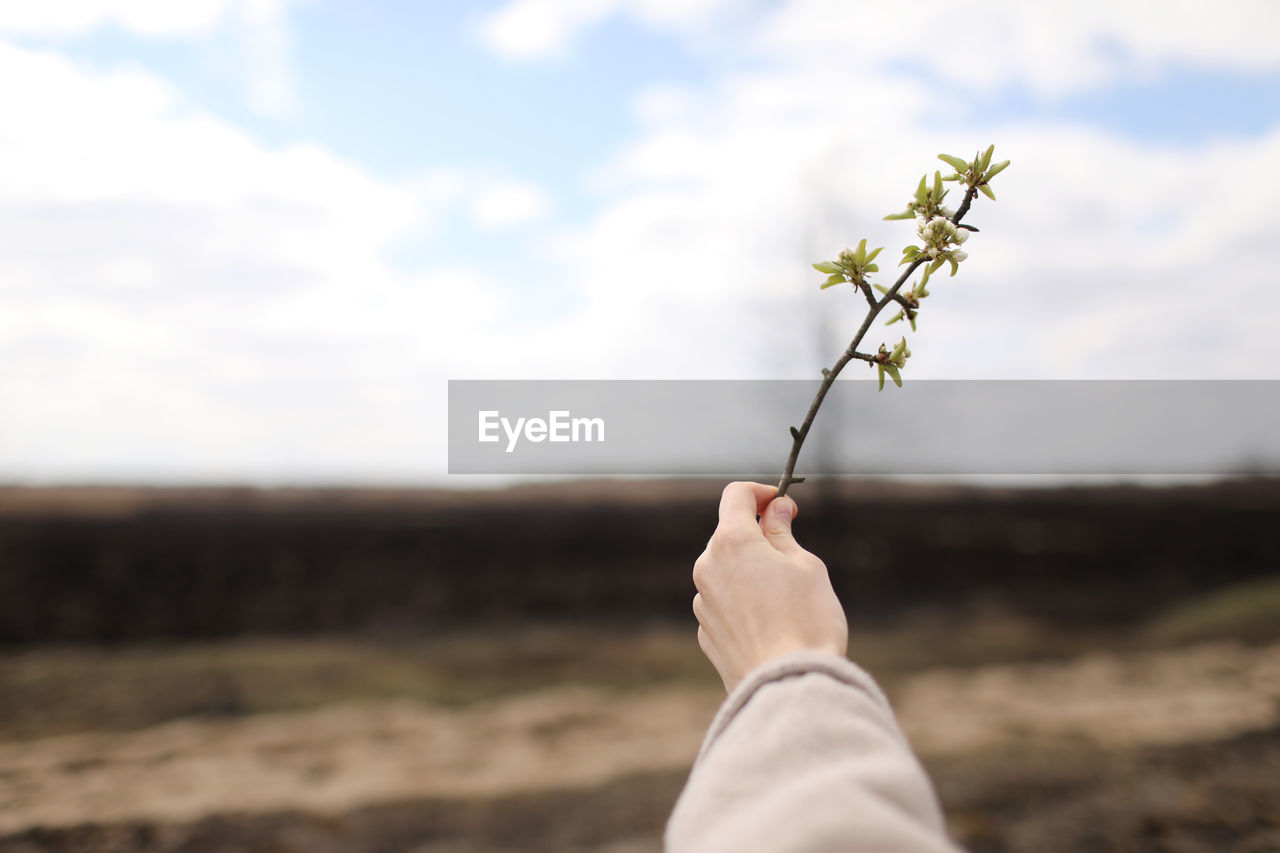 PERSON HOLDING PLANT AGAINST SKY