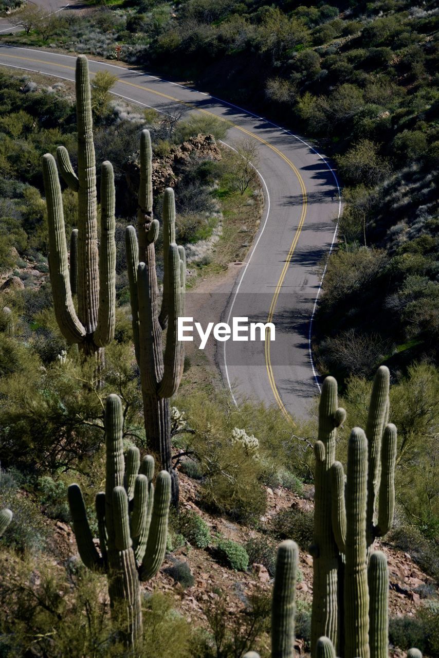 A curvy road leads through the arizona desert wilderness outside of phoenix.