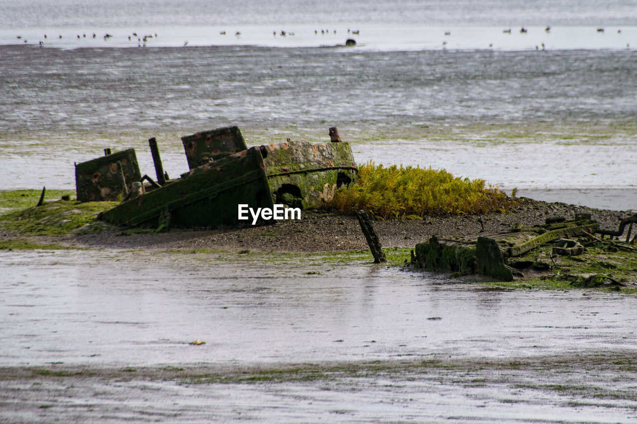 boat on sea