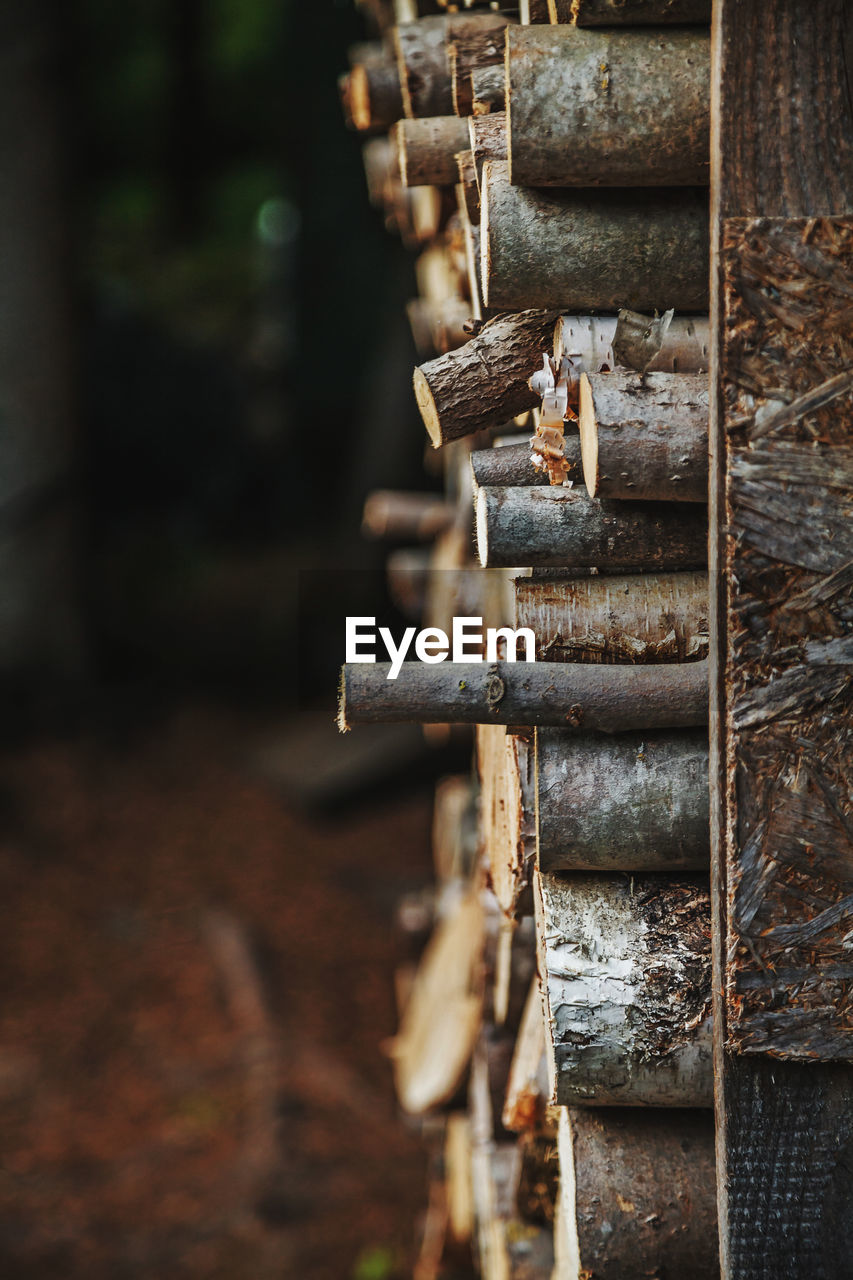 wood, no people, metal, temple, iron, rusty, close-up, old, day, selective focus, outdoors, architecture, industry