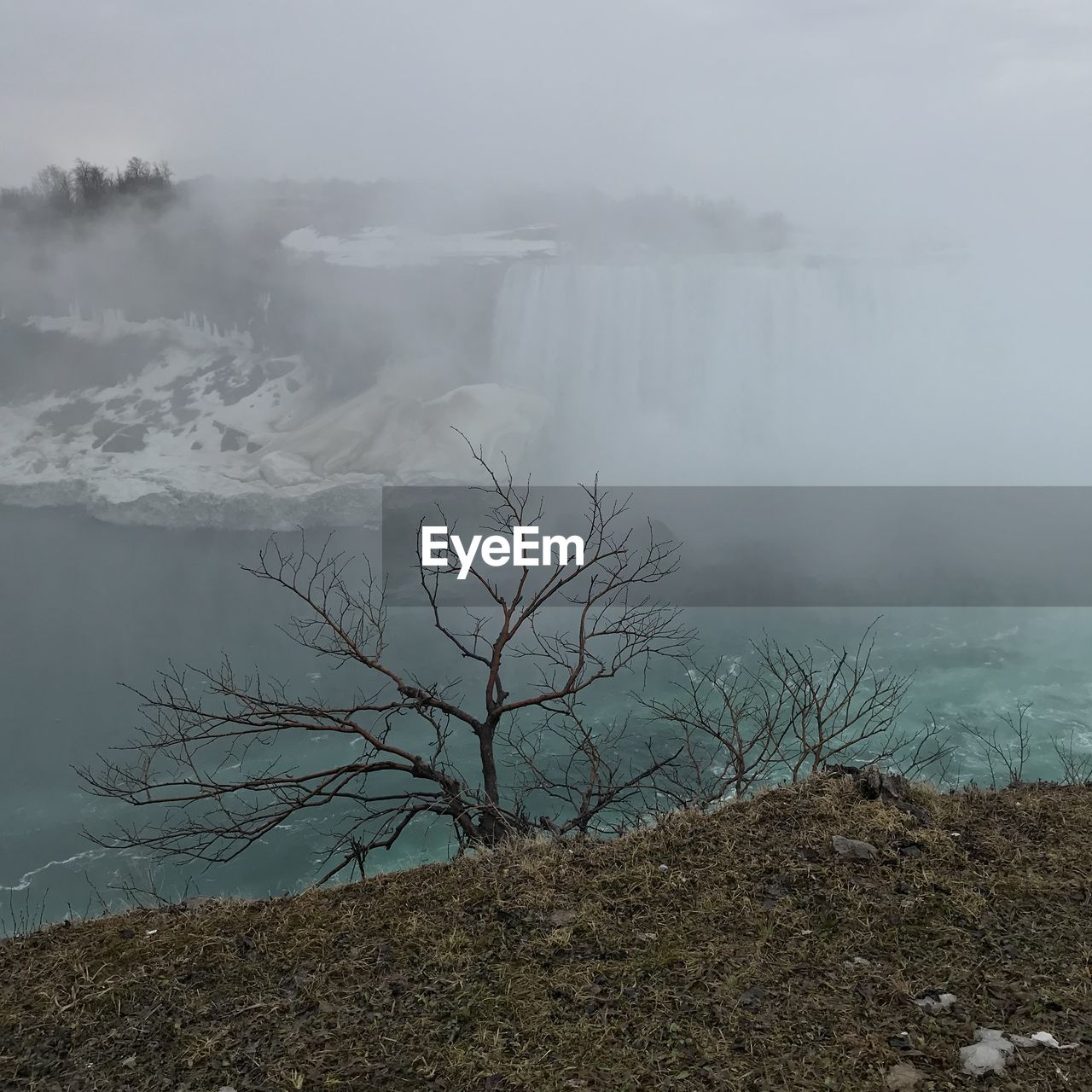 Scenic view of tree next to niagara falls against sky