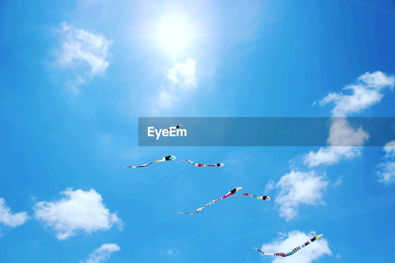 Low angle view of birds flying in sky