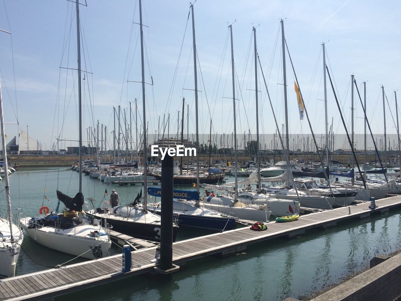 SAILBOATS IN HARBOR