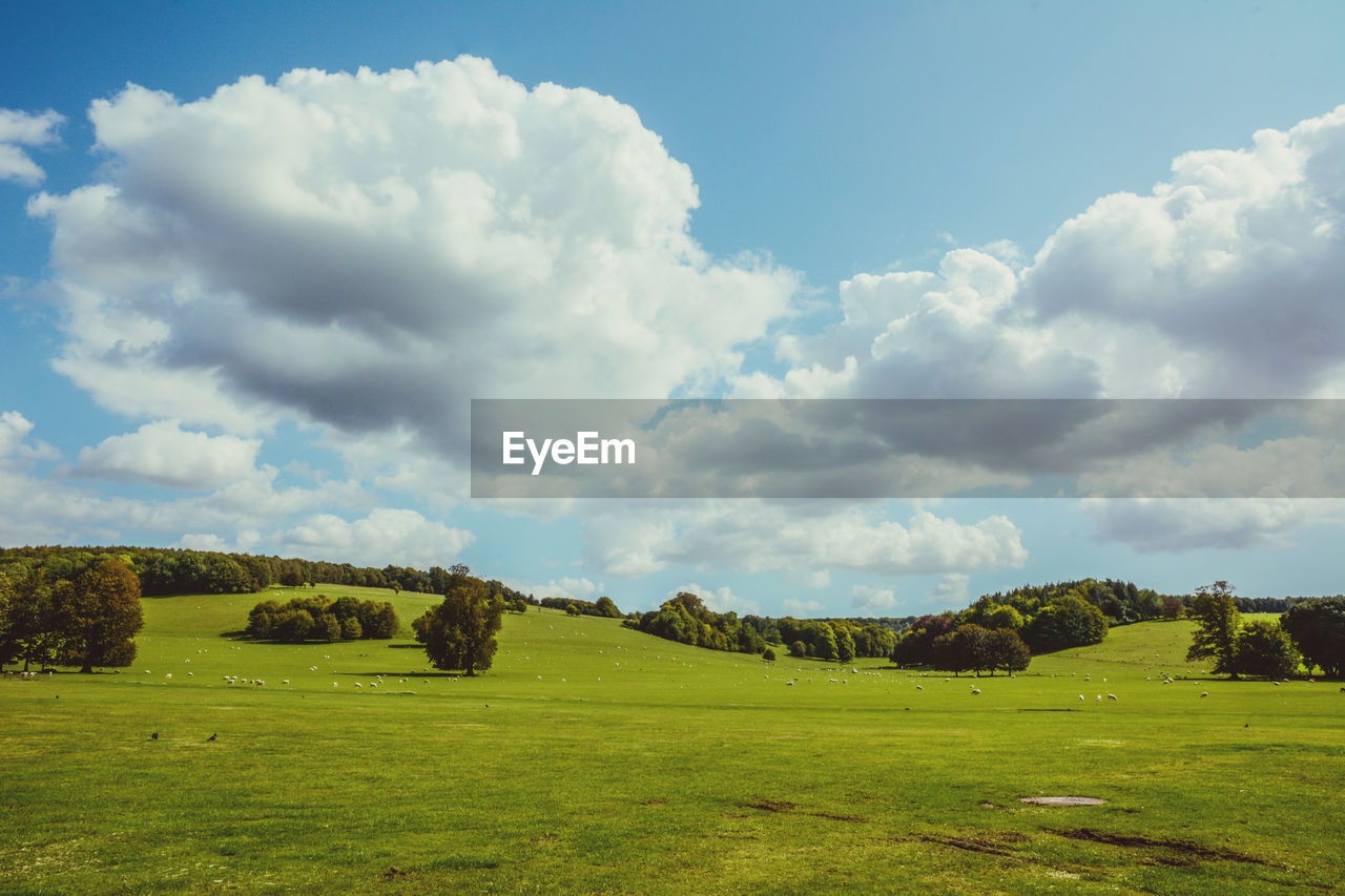 Scenic view of land against sky