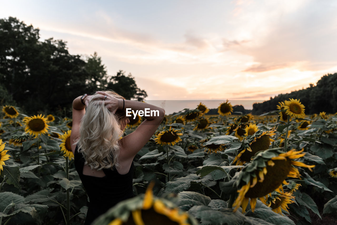 Rear view of woman standing amidst sunflowers against sky during sunset