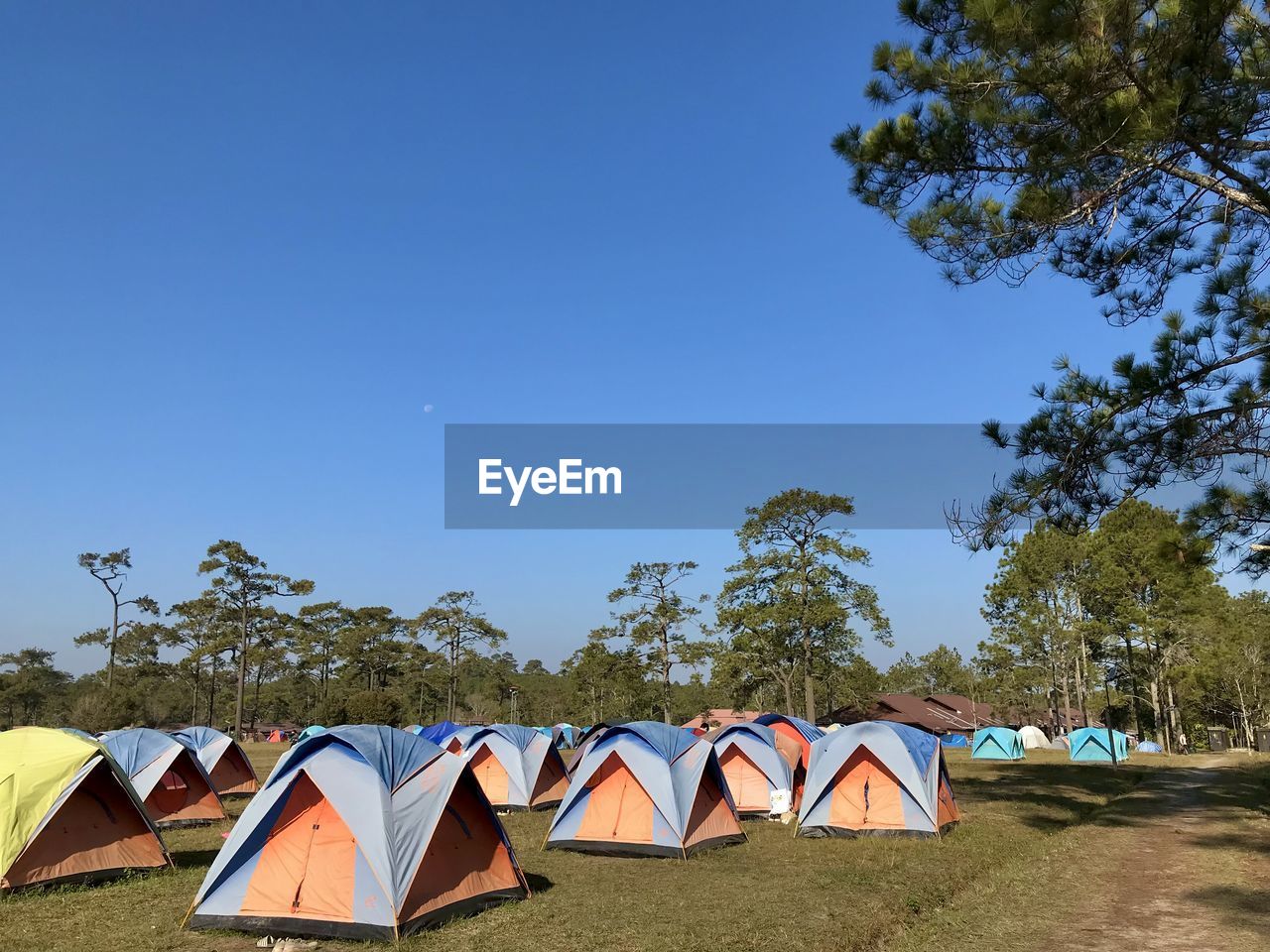 tent, sky, camping, nature, tree, plant, land, blue, clear sky, no people, adventure, sunny, summer, landscape, multi colored, environment, travel destinations, day, sunlight, outdoors, scenics - nature, travel, holiday, trip, leisure activity, vacation, beauty in nature, architecture