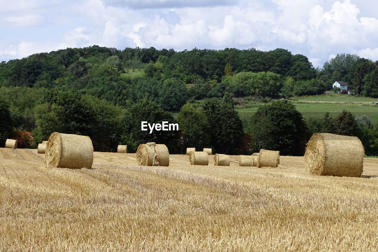 Hay bales on field against sky