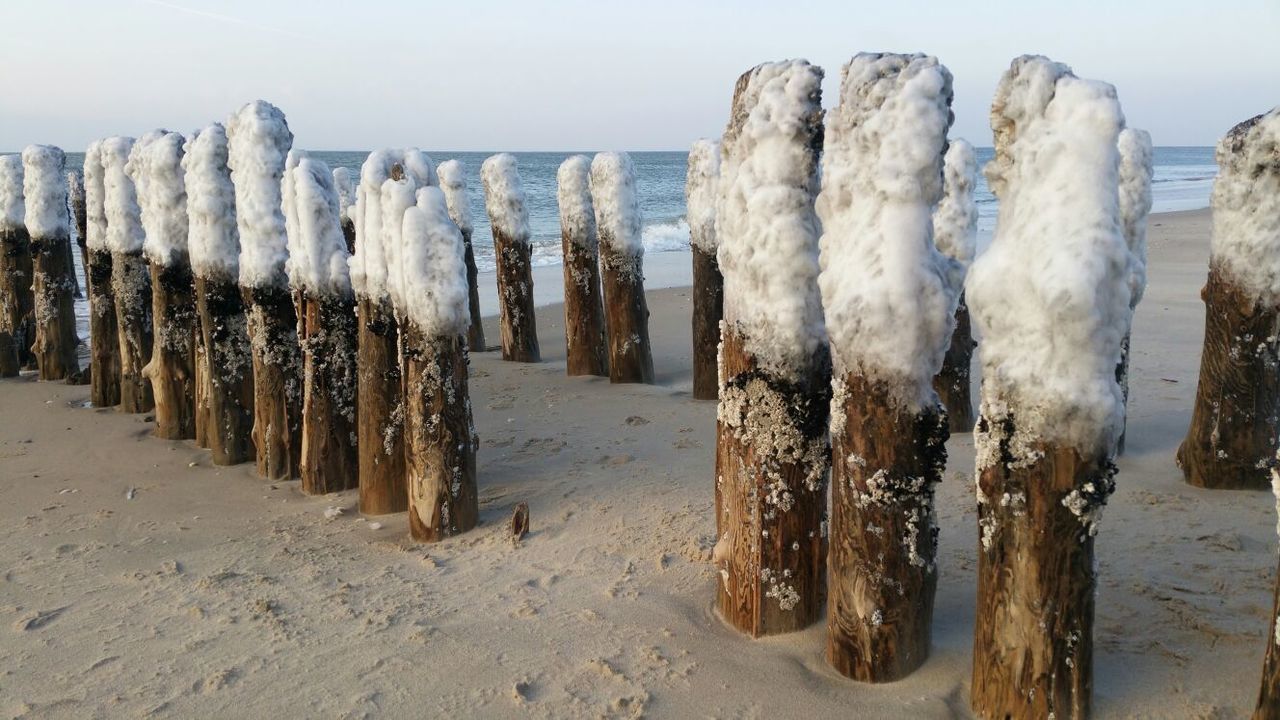 WOODEN POSTS IN THE SEA