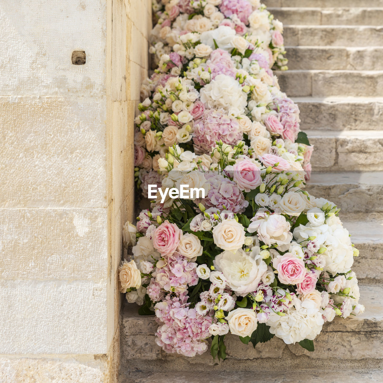 Trani, flowers of love. puglia. italy