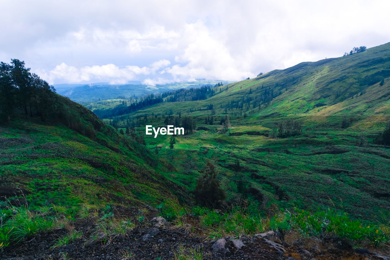 Tambora mountain hiking trail