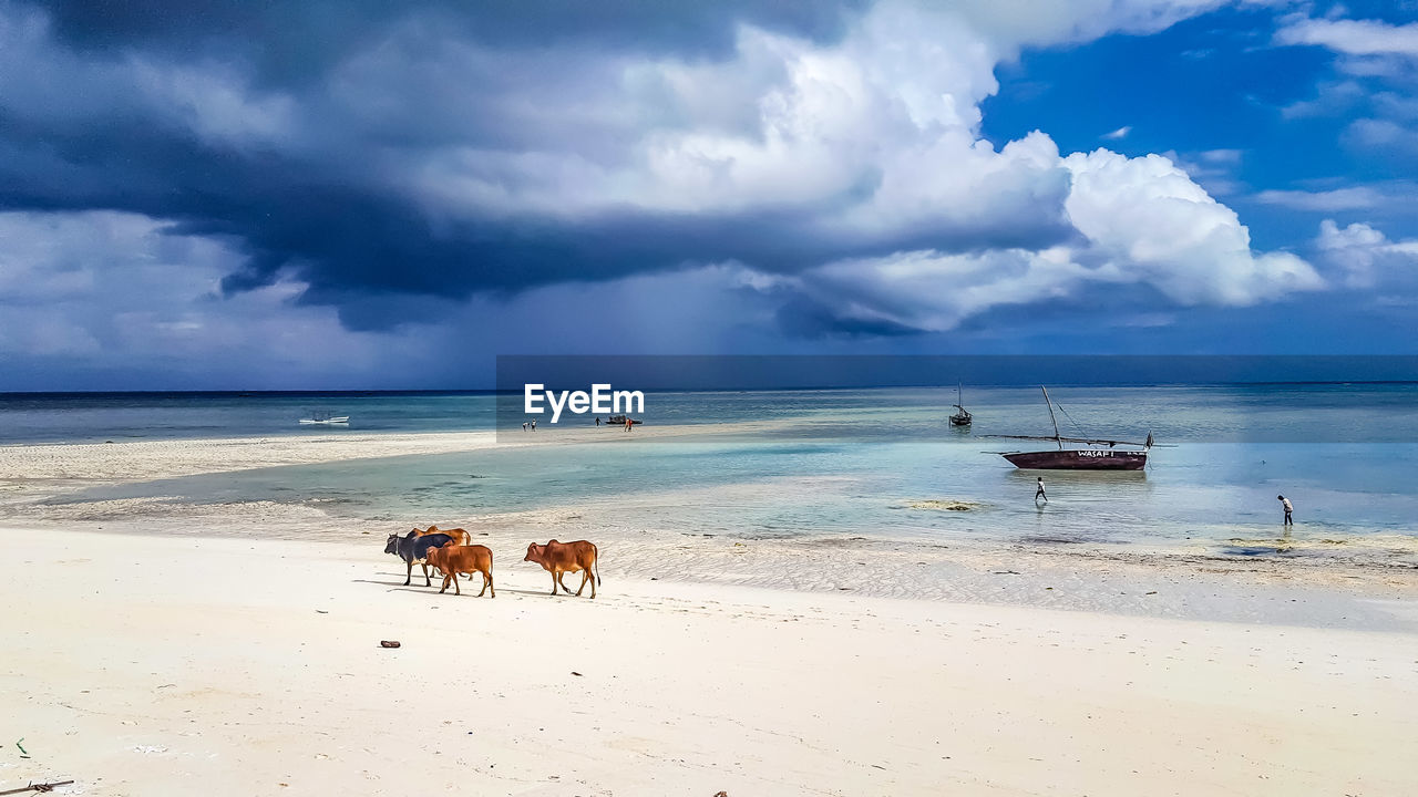 PANORAMIC VIEW OF SEA AGAINST SKY