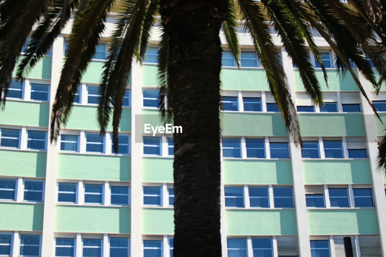 LOW ANGLE VIEW OF BUILDING WITH WINDOWS