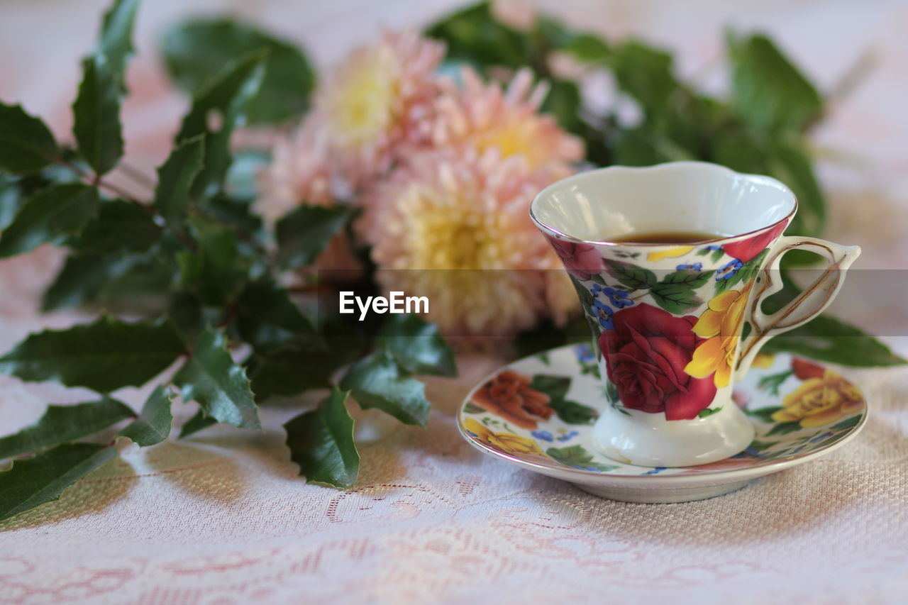 CLOSE-UP OF TEA CUP AND PLANTS ON TABLE