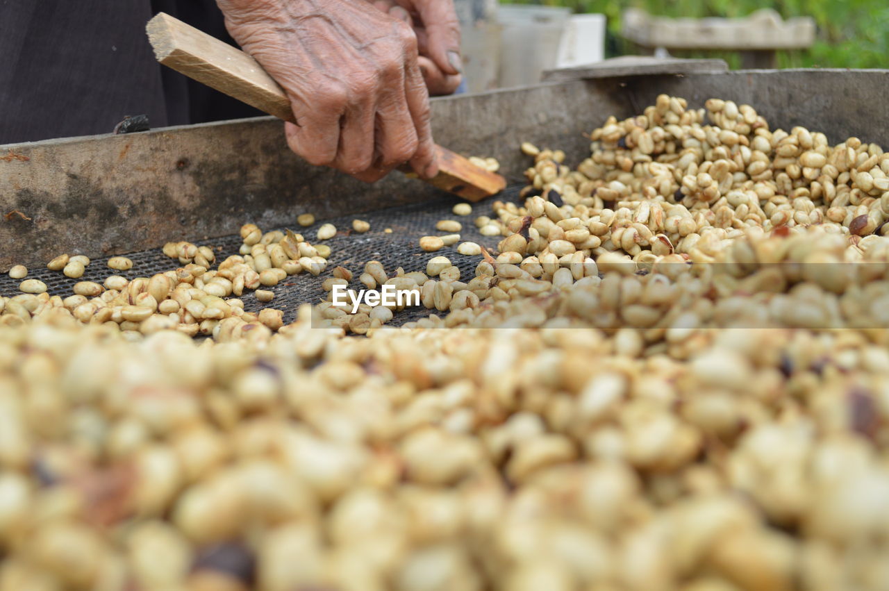 Cropped hands selling peanuts in market