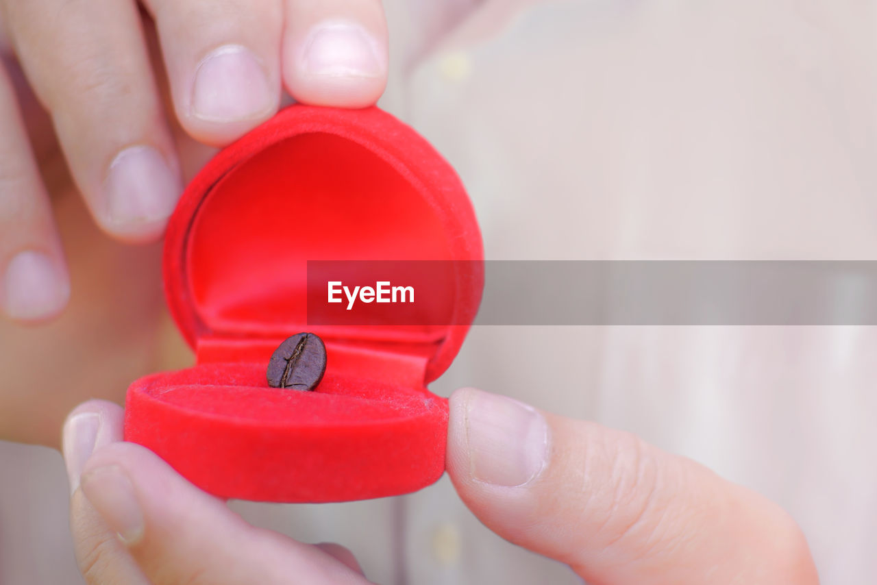 Midsection of man holding roasted coffee bean in red jewelry box