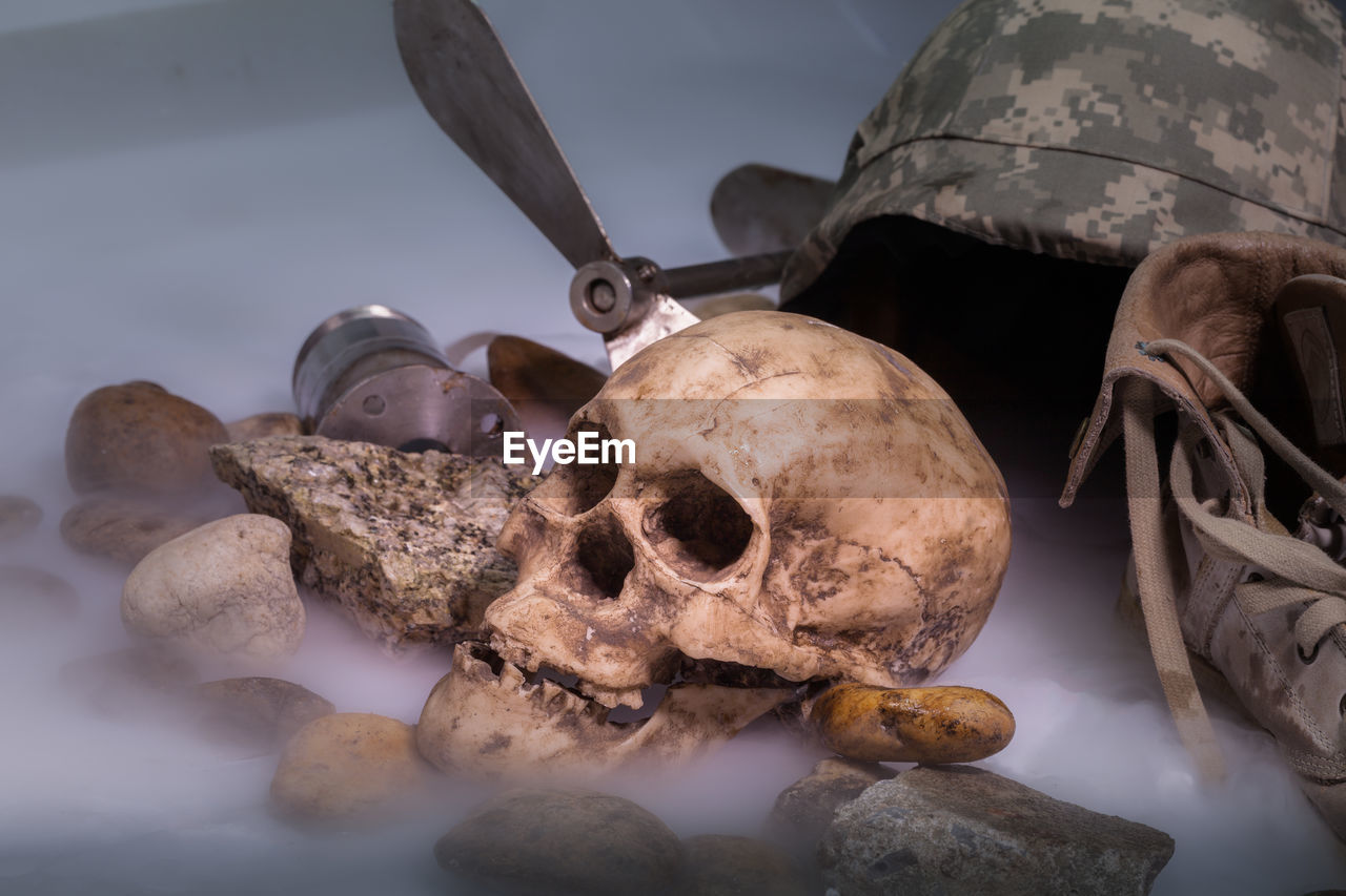 CLOSE-UP OF HUMAN SKULL ON THE TABLE