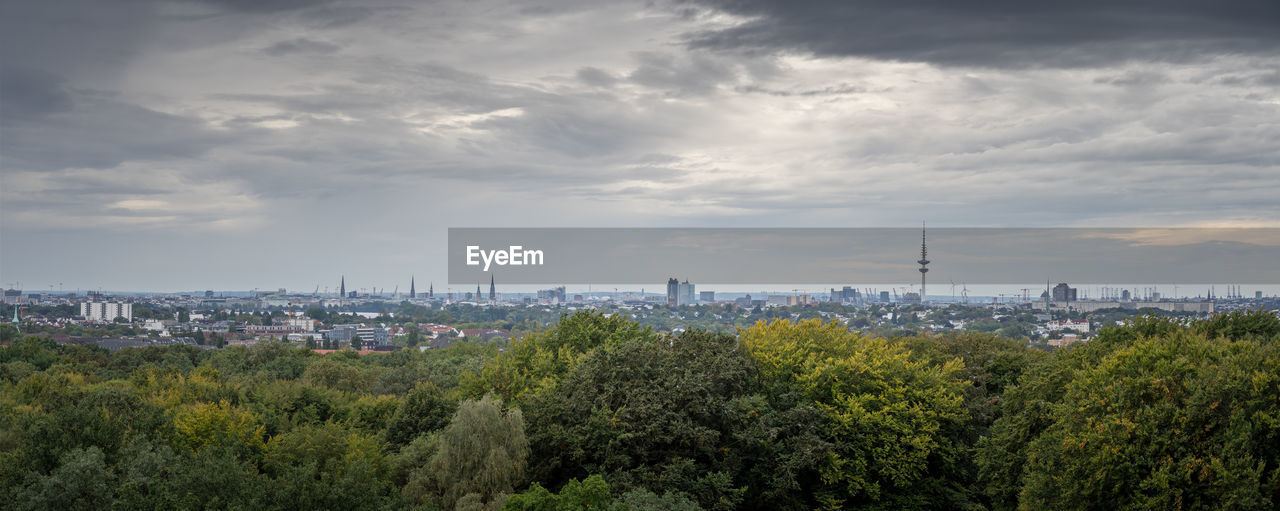 VIEW OF TREES AND BUILDINGS IN CITY