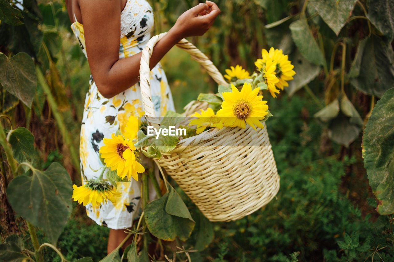 Midsection of woman carrying yellow flowers in basket on field