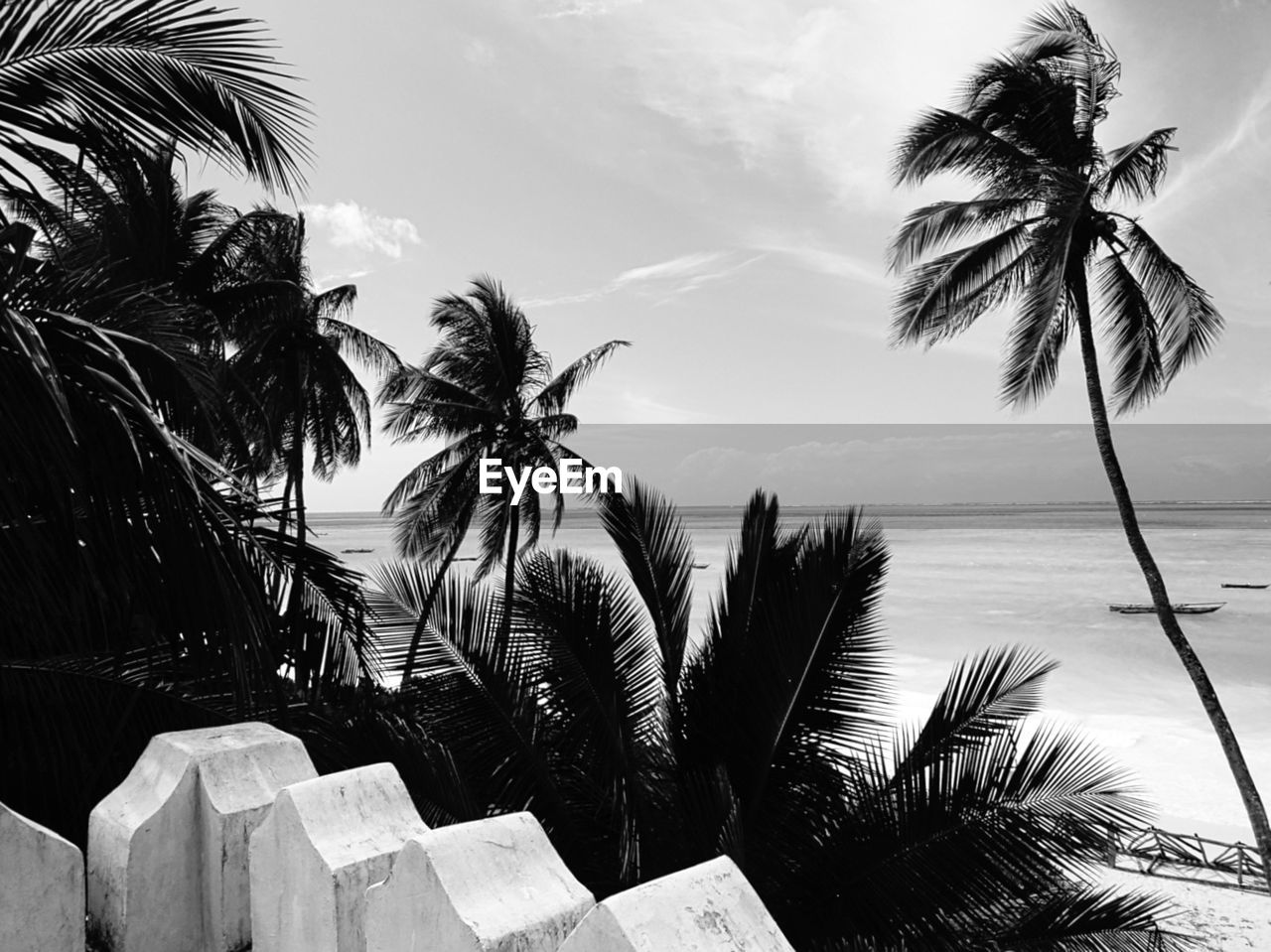 PALM TREES AGAINST SKY AT BEACH