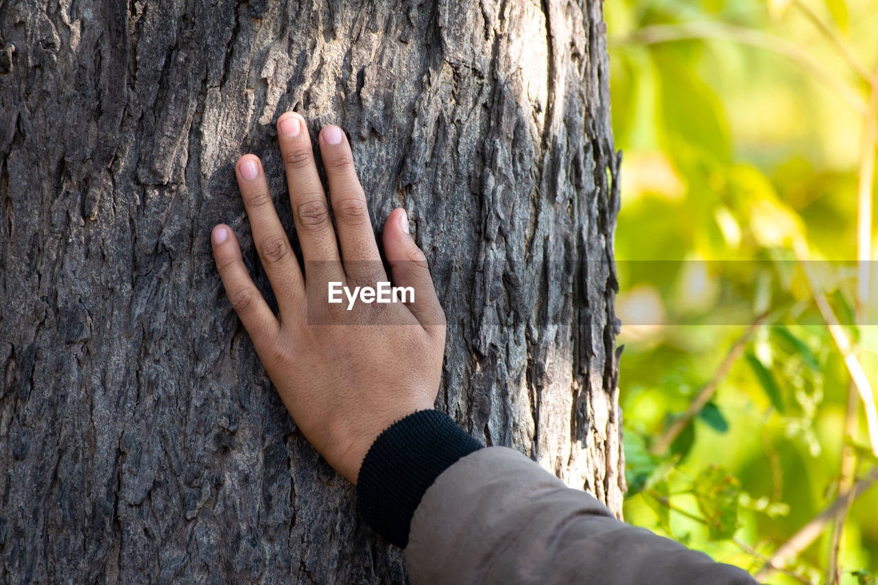 CLOSE-UP OF HUMAN HAND AGAINST TREE TRUNK