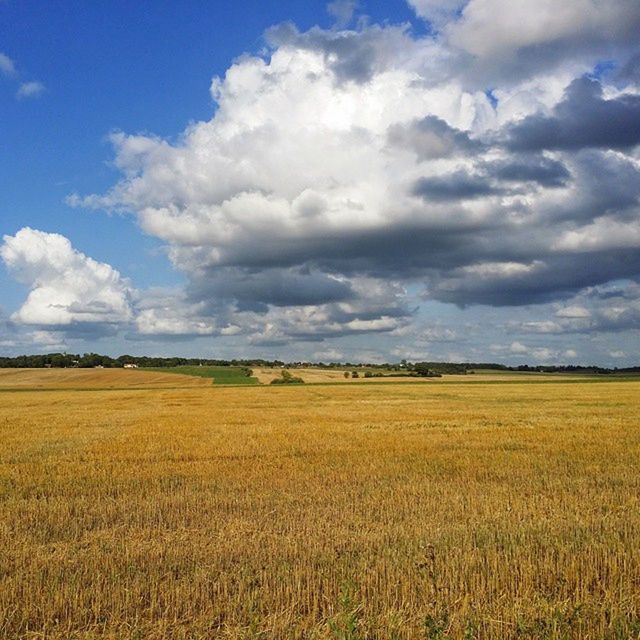 VIEW OF FIELD AGAINST CLOUDY SKY