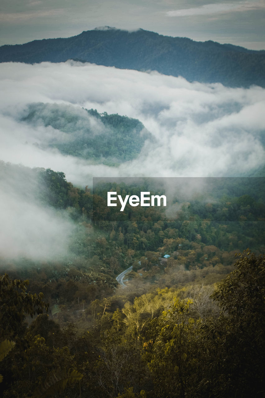 HIGH ANGLE VIEW OF FOG OVER LANDSCAPE