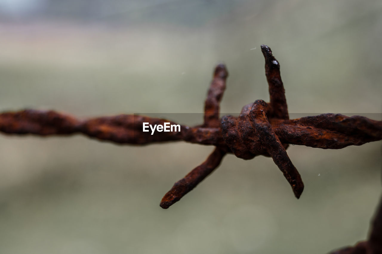 Close-up of rusty barbed wire