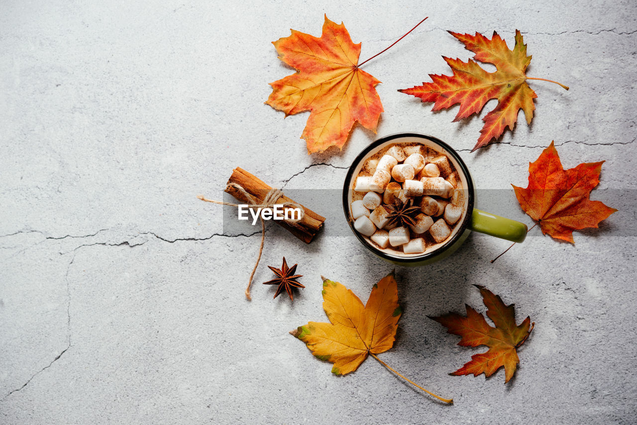 Cozy autumn hot drink with marshmallow, rowan berries, pumpkin and yellow maple leaves