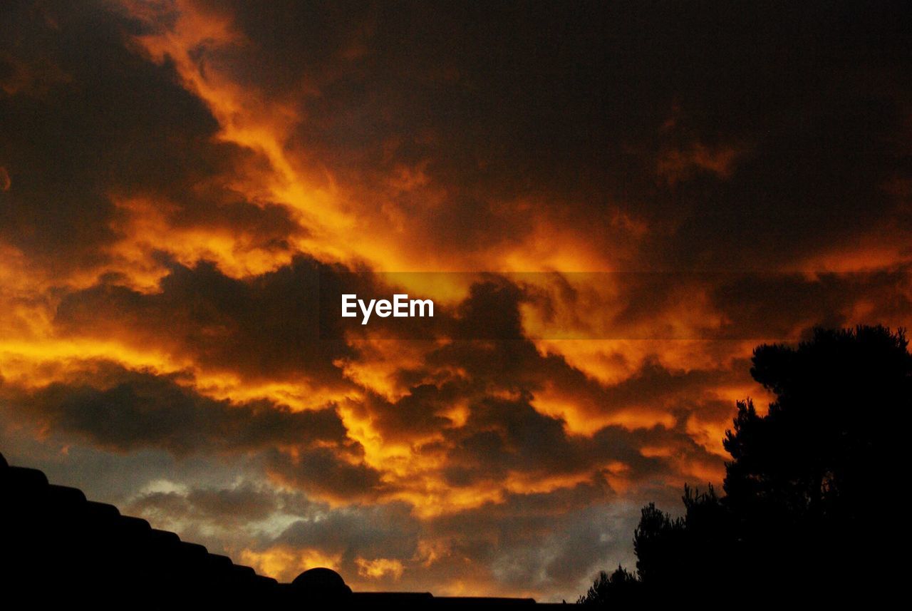 LOW ANGLE VIEW OF SILHOUETTE TREES AGAINST DRAMATIC SKY DURING SUNSET