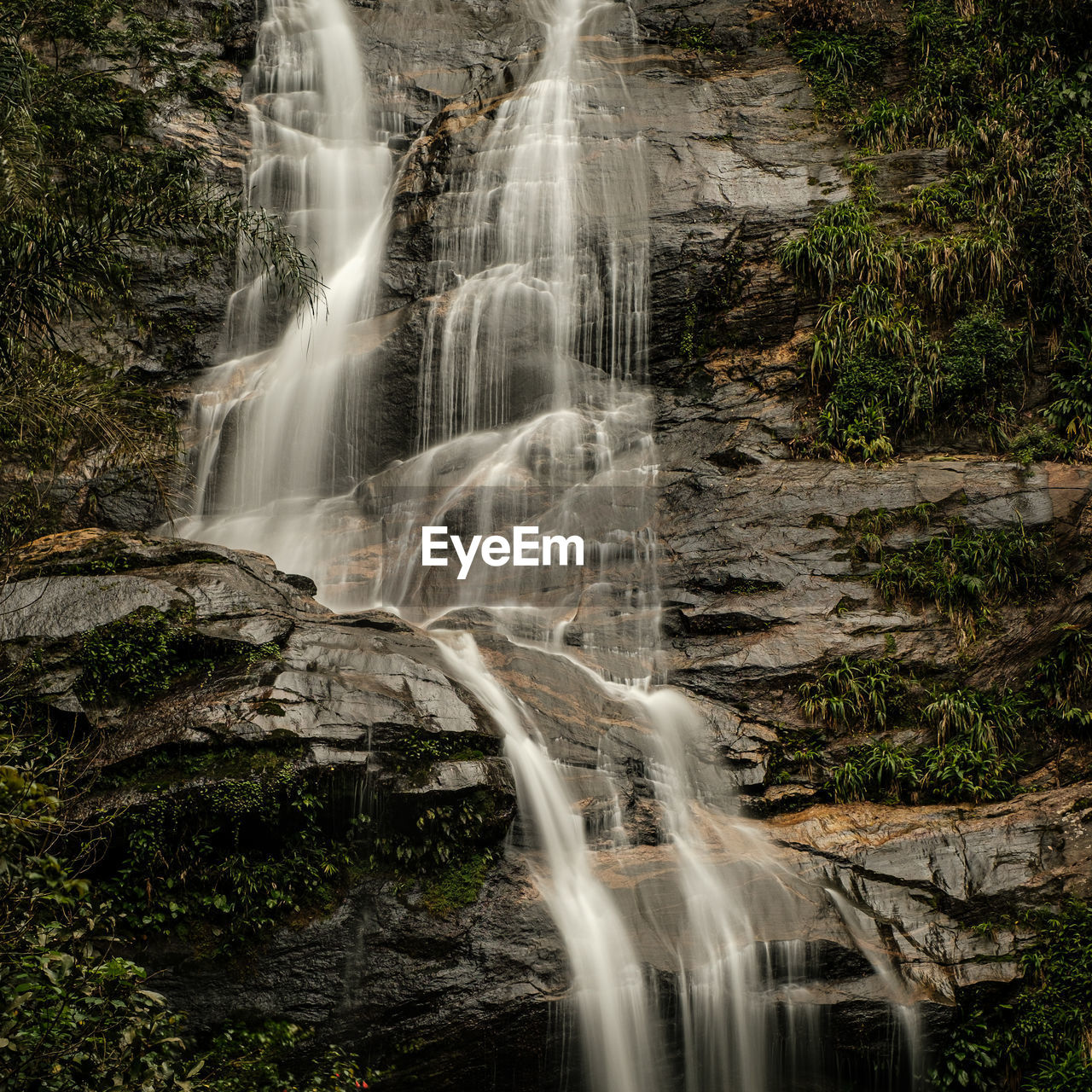 Waterfall in forest