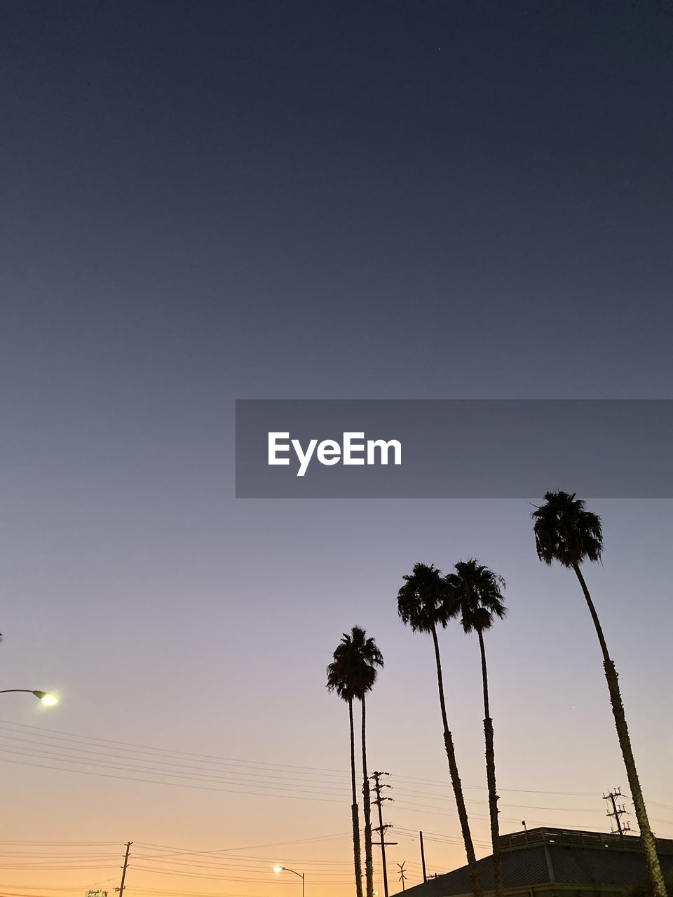 LOW ANGLE VIEW OF SILHOUETTE PALM TREES AGAINST SKY