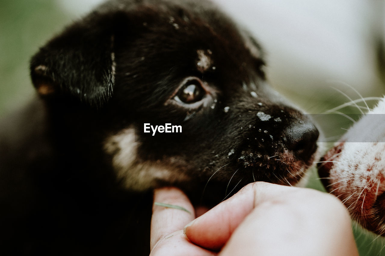 CLOSE-UP OF PERSON HOLDING HAND WITH EYES