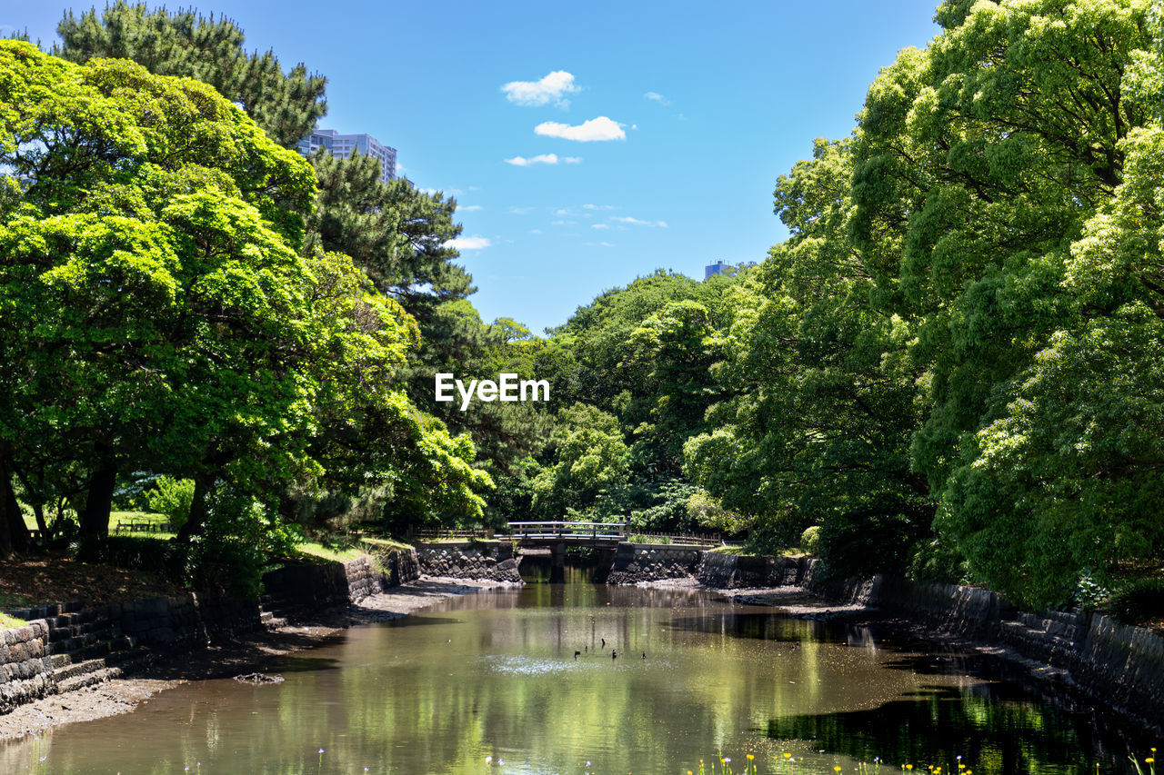 Scenic view of river by trees against sky - river in hamarikyu gardens in tokyo