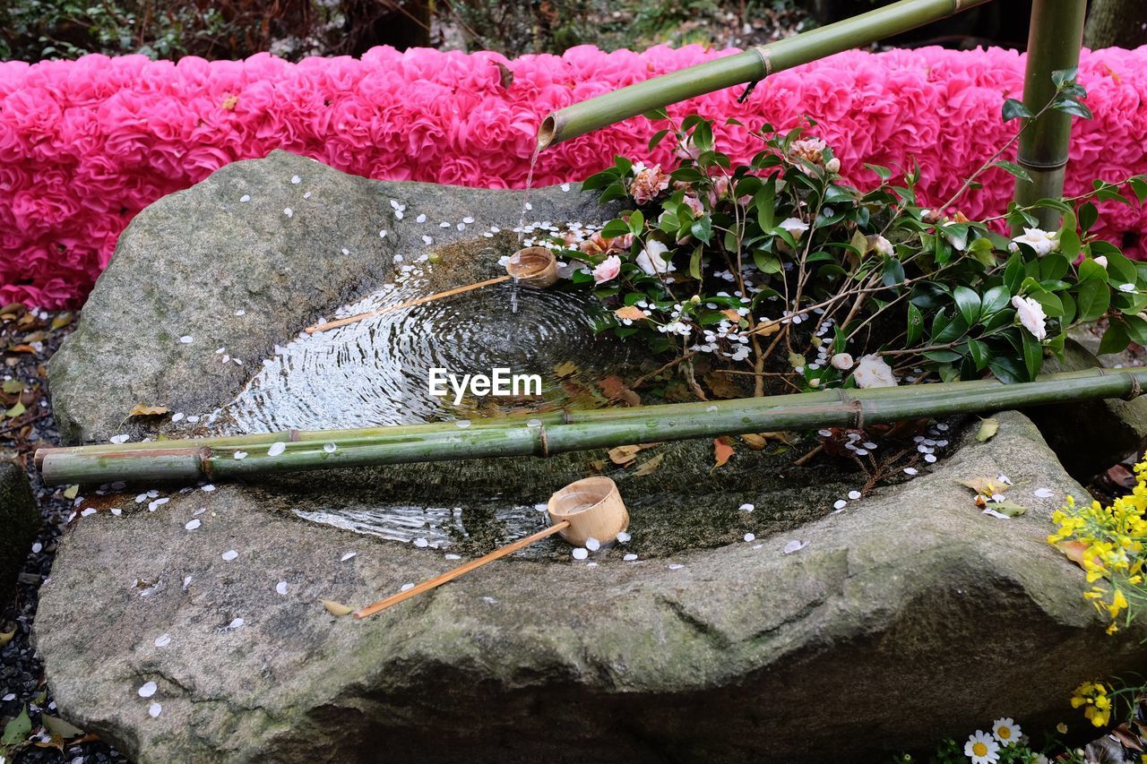 CLOSE-UP OF WATER ON ROCK