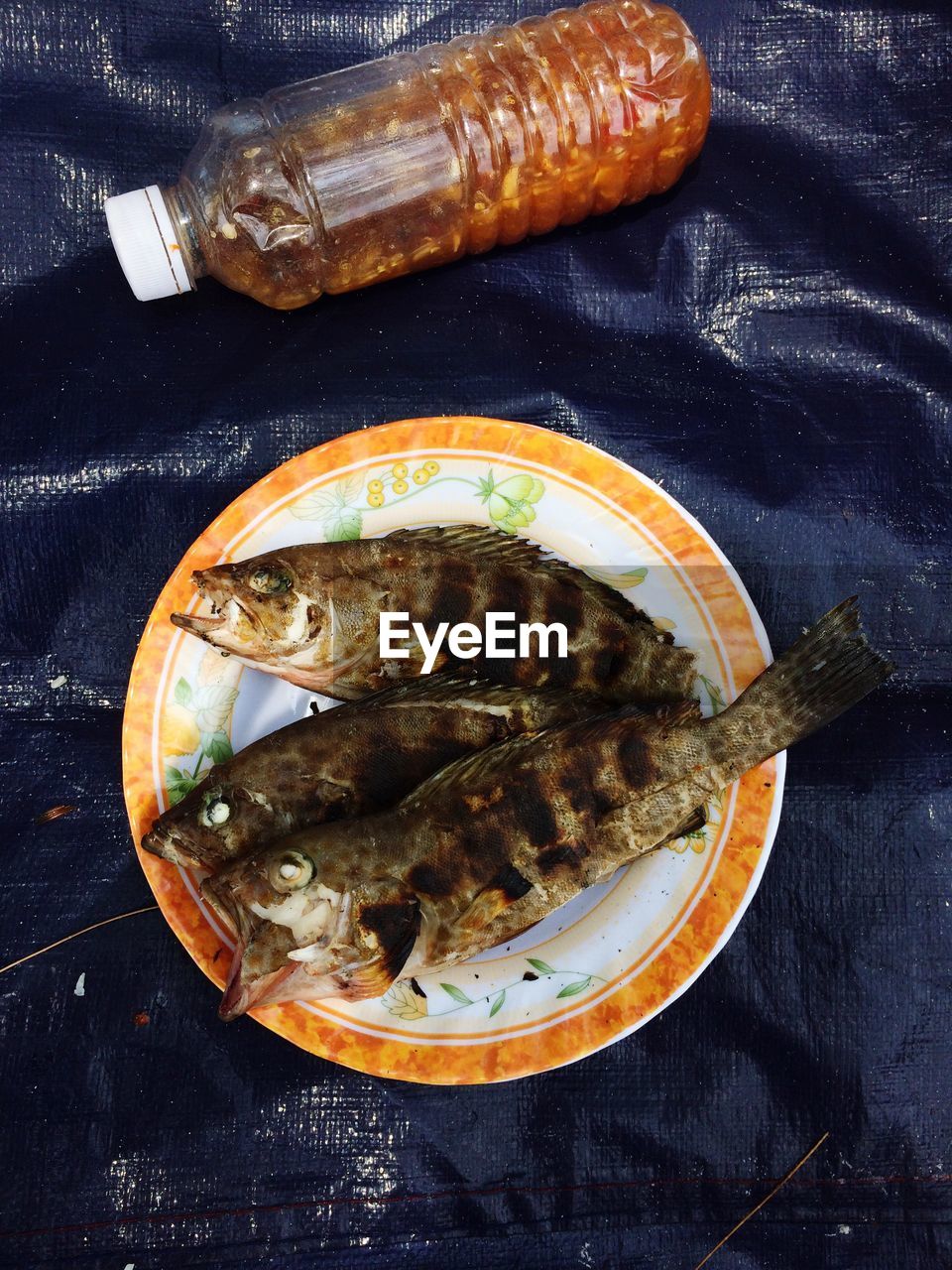 Close-up of seafood in plate