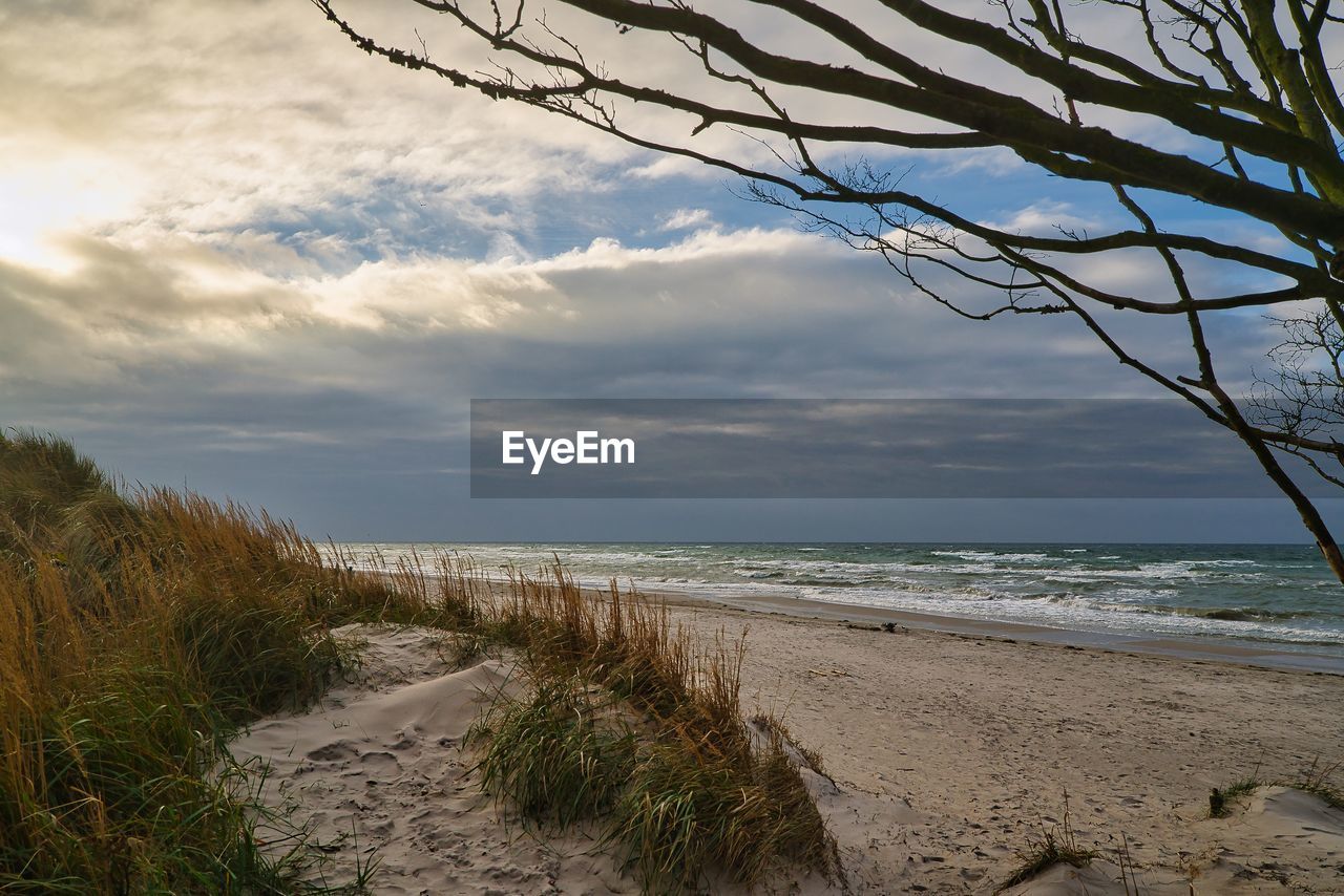 beach, sky, sea, land, water, plant, cloud, nature, beauty in nature, scenics - nature, sand, shore, tree, tranquility, body of water, horizon over water, coast, tranquil scene, no people, horizon, grass, landscape, environment, marram grass, day, coastline, outdoors, ocean, morning, travel destinations, sunlight, non-urban scene, natural environment, holiday, idyllic, tourism, travel, sand dune
