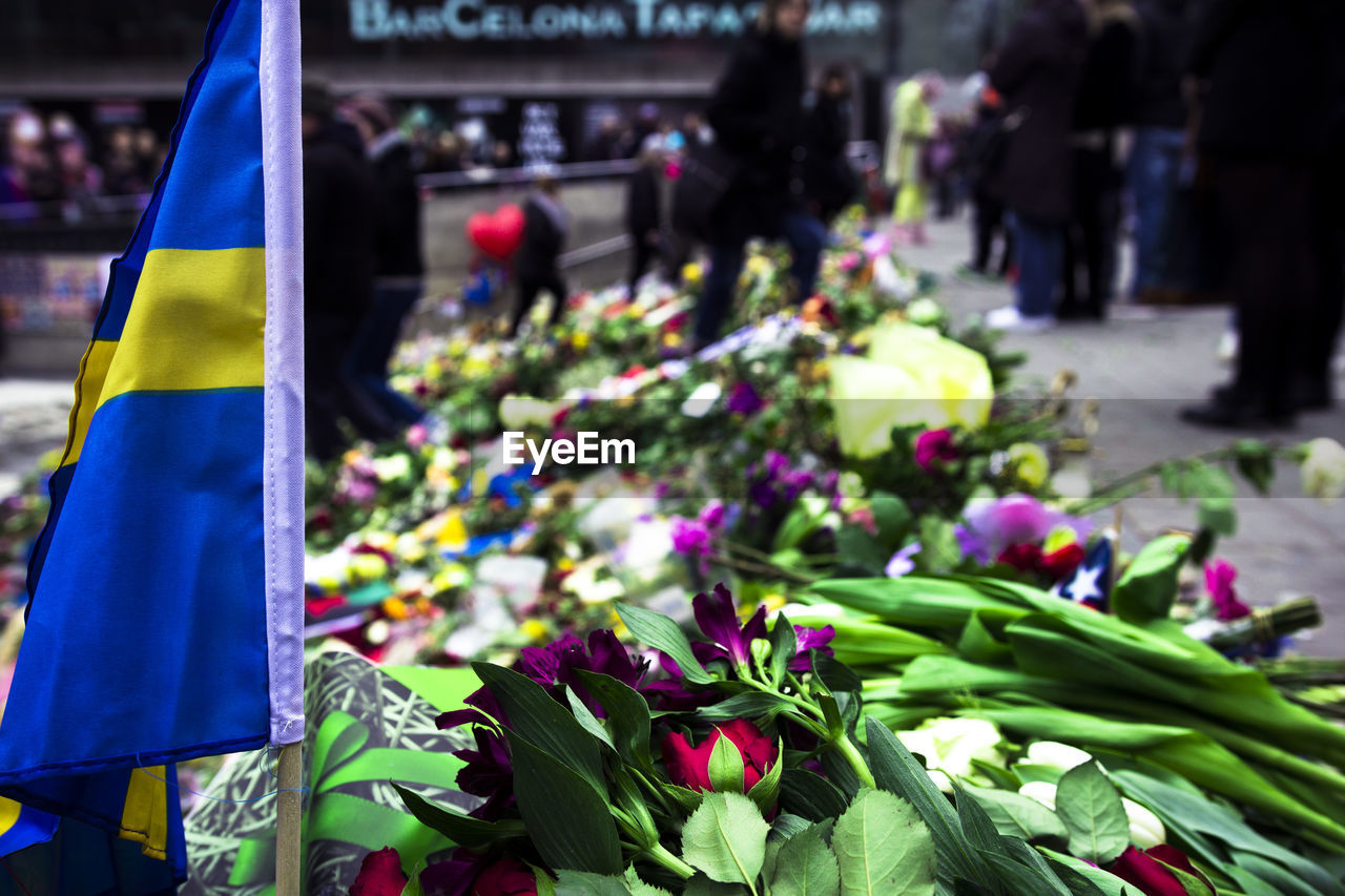 Close-up of flowers for sale in market