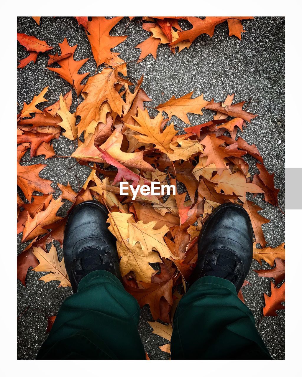 LOW SECTION OF MAN STANDING ON AUTUMN