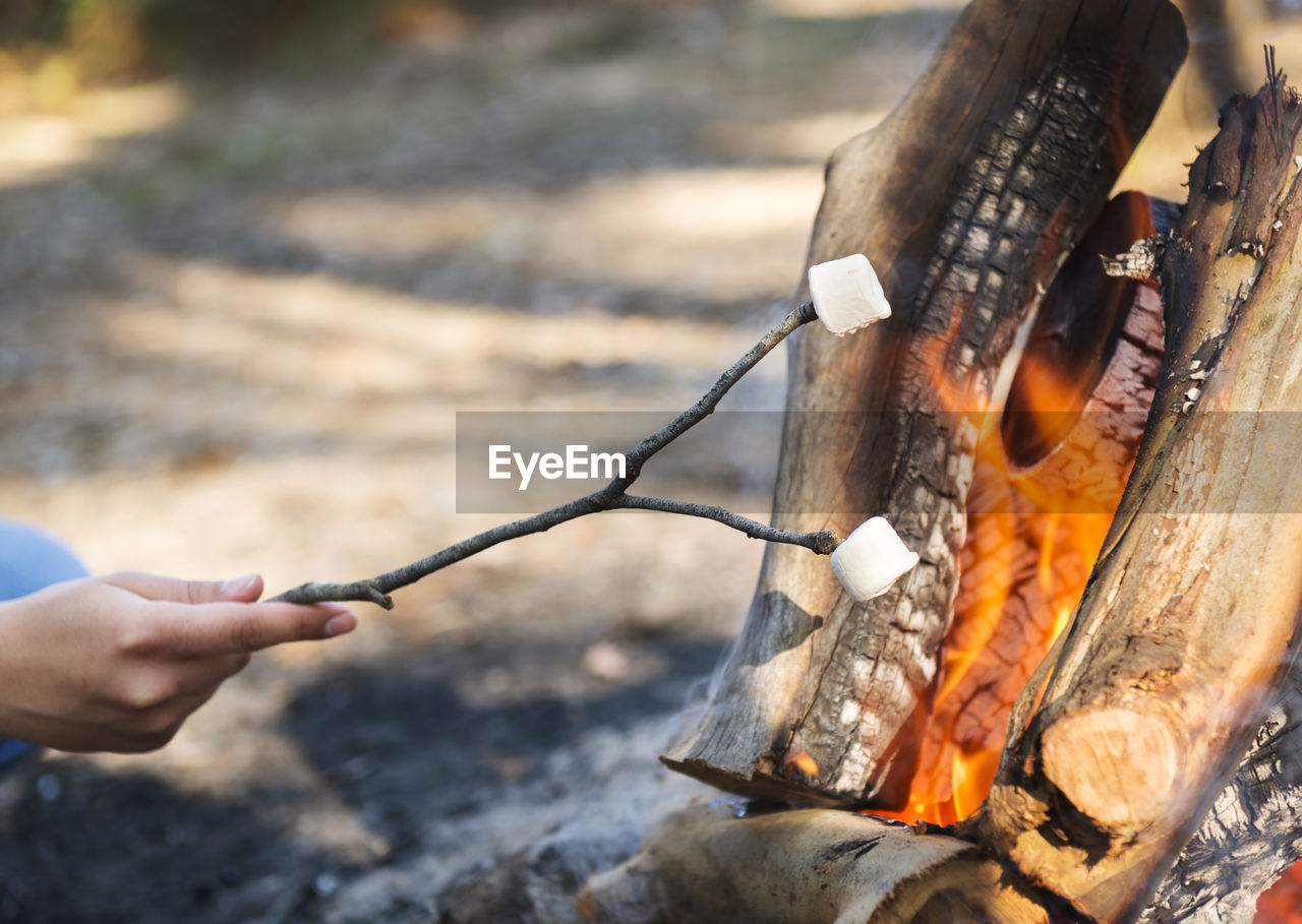 Person roasting marshmallows on a stick over a campfire while camping