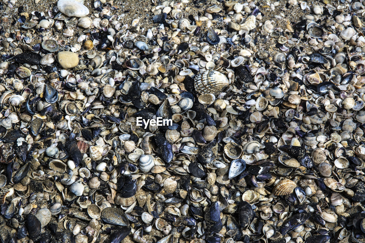 full frame, backgrounds, abundance, large group of objects, gravel, pebble, no people, rock, day, asphalt, nature, high angle view, stone, textured, land, outdoors, sunlight, beach, shell, pattern, soil, close-up, directly above, still life