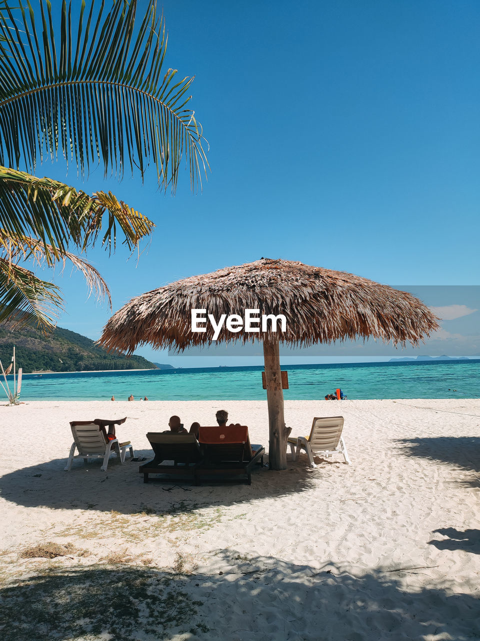 beach, water, land, sea, sky, nature, tropical climate, ocean, thatched roof, sand, palm tree, vacation, shore, holiday, sunlight, trip, beauty in nature, tree, body of water, travel destinations, coast, chair, tranquility, blue, scenics - nature, summer, relaxation, travel, tranquil scene, shade, sunny, day, parasol, lounge chair, bay, idyllic, roof, clear sky, beach umbrella, umbrella, horizon over water, outdoors, shadow, plant, horizon, island, sunshade, hut, tourism, seat, leisure activity, tourist resort, adult