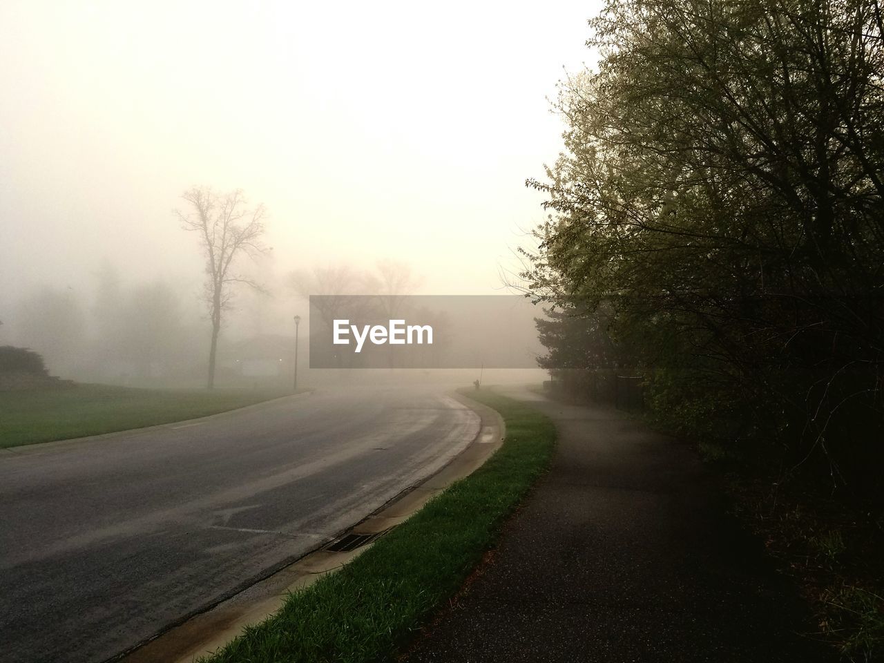 Empty road in foggy weather