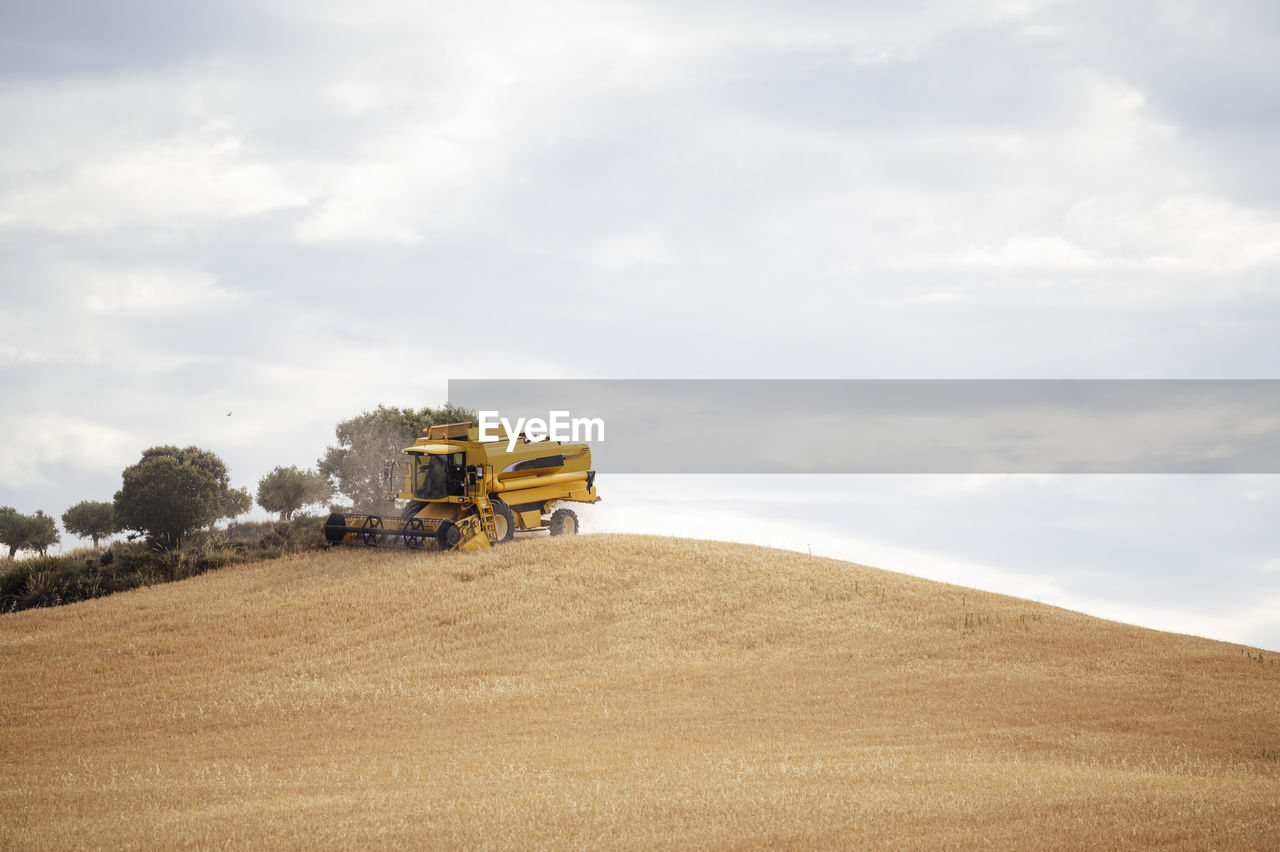 Distant industrial combine harvester collecting dried grain crops while driving on agricultural field with tree in countryside during harvesting season