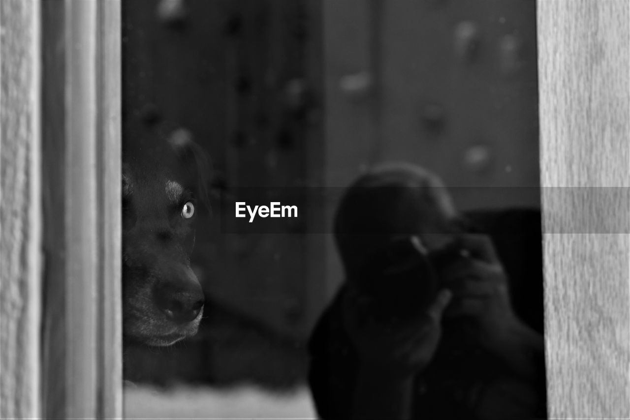 PORTRAIT OF PEOPLE LOOKING THROUGH WINDOW AT HOME