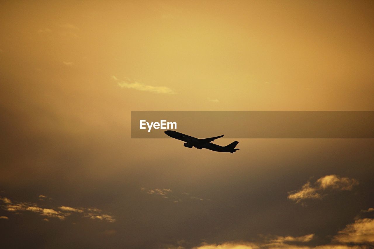 LOW ANGLE VIEW OF SILHOUETTE BIRDS FLYING AGAINST SKY DURING SUNSET